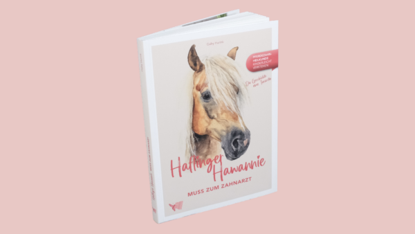 Haflinger Hawannie muss zum Zahnarzt – Bild 2