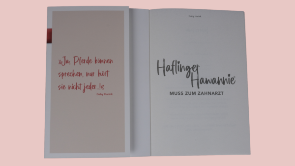 Haflinger Hawannie muss zum Zahnarzt – Bild 6